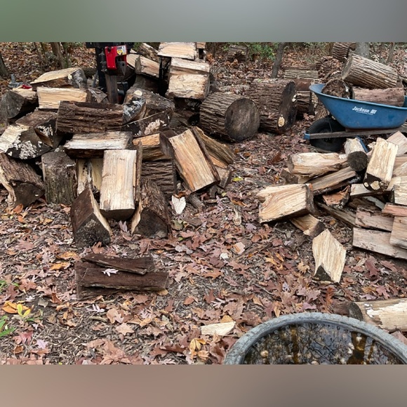 ❌⭕️TY MAMA BEAR❌⭕️ - Picture 13 of 13